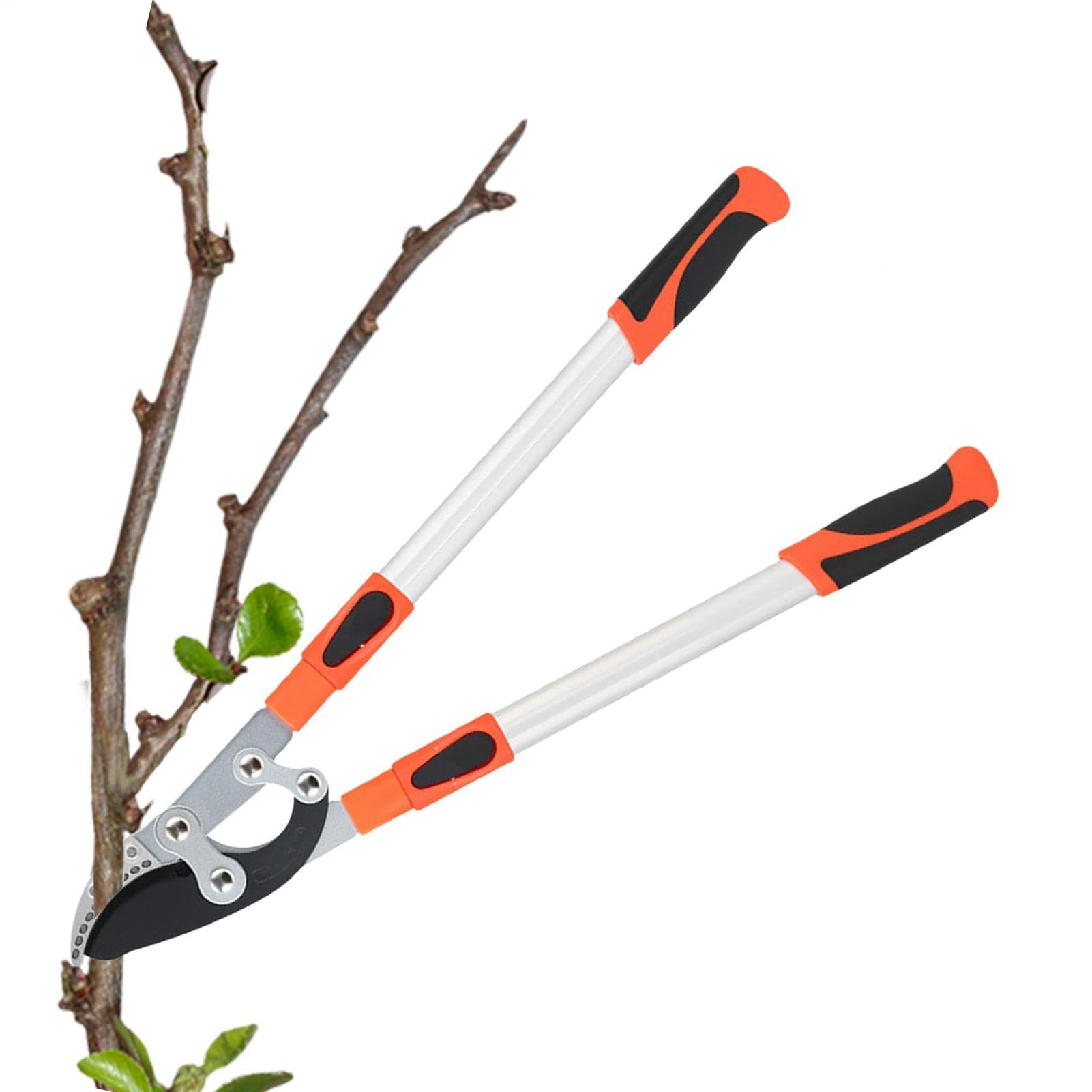 Nożyce Ogrodowe Nożyce Teleskopowe Z Długą Rączką | Ręczne Nożyce Ogrodowe Do Drzew, Żywopłotów, Kwiatów, Bonsai, Winorośli, Krzewów, Na Zewnątrz, Podwórza, Patio, Ganku,