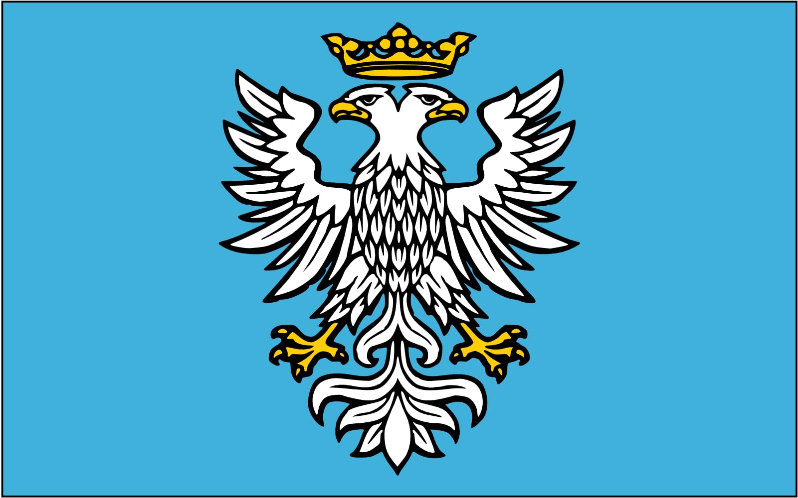 Drapeau large POL powiat przemyski résistant aux intempéries