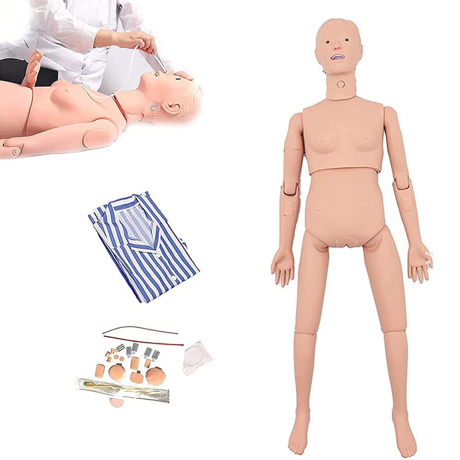 Multifunktionaler Patientenversorgungssimulator, männlich-weibliche Kombination aus menschlichem anatomischem Modell für die Ausbildung von Lehr- und Schulmaterial aus PVC