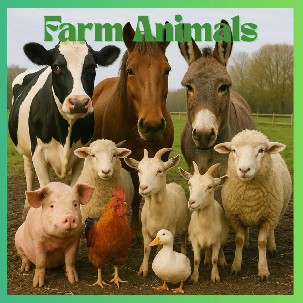 Farm Animals