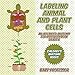 Labeling Animal and Plant Cells - An Advanced Anatomy for Kids Workbook Grade 6 | Children's Anatomy Books