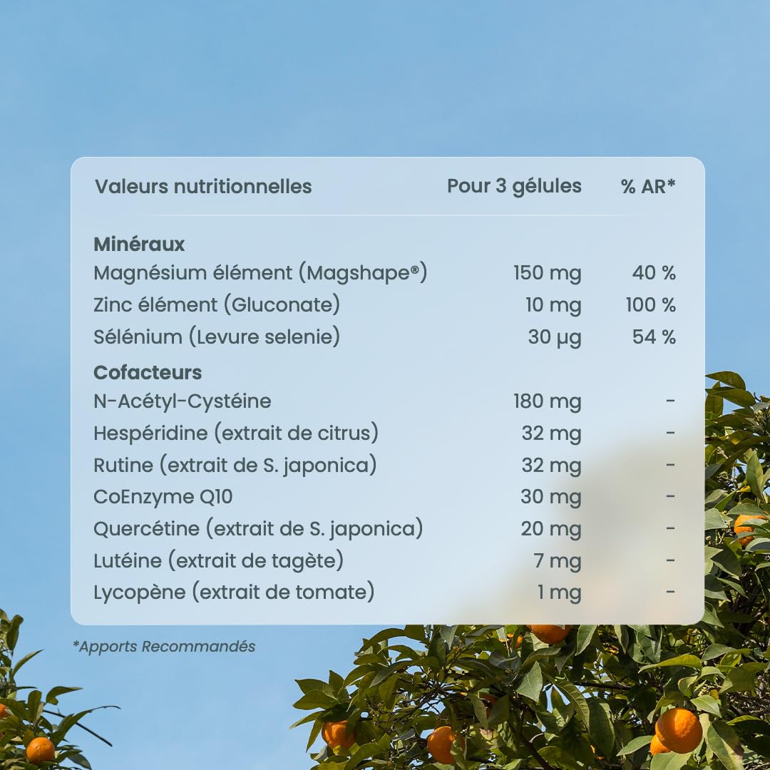 NUTRI & CO Multivitamines et Minéraux 25 Nutriments - Vitamines A B C D3 E K2 + Minéraux dont Magnésium et Zinc - Haute Absorption - 90 Gélules Vegan Friendly Conditionné en France