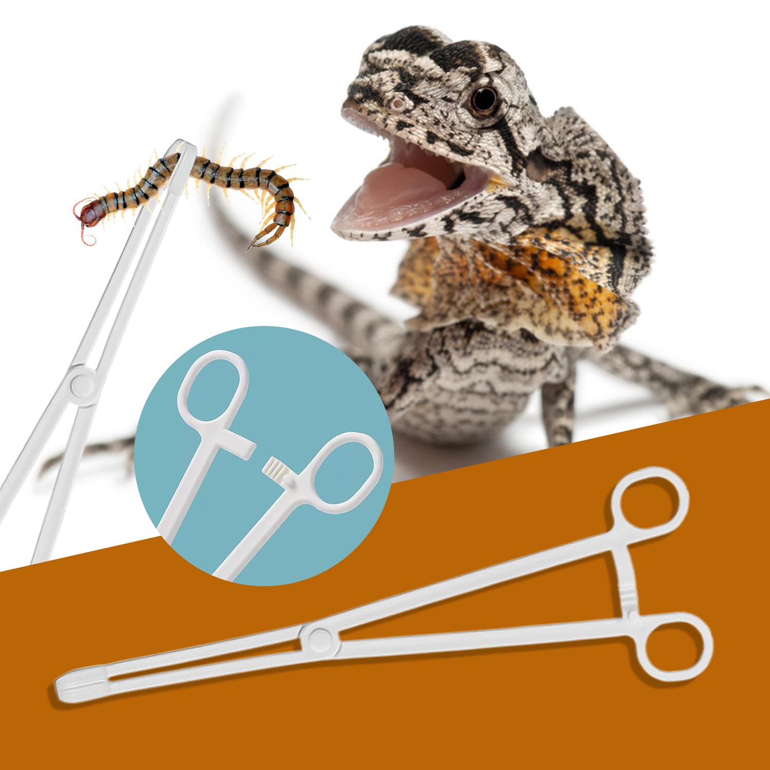 HIXNUG Reptile Feeding Clip Pet Raising Feeding Tool Non-Skidding Tweezers for Tortoise Lizard Frog Spider Tarantulas - Image 4