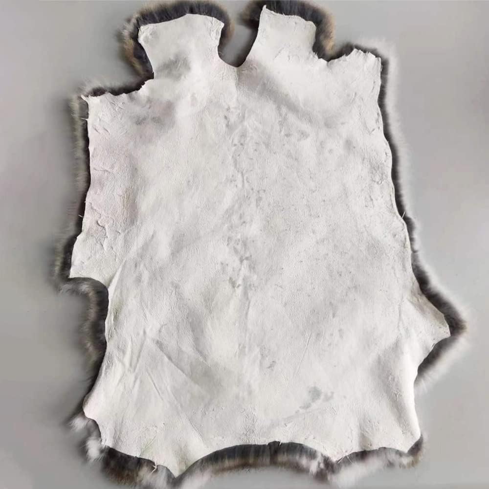 Assorted Bulk Grade Natural Rabbit Pelt with Fur (10" by 14") Rabbit Pelt Skin Fur Hide Leather for Decoration Crafts Cat Dog Toys Soft Professionally Tanned Sewing Quality 6pack