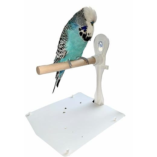Stick on Window Bird Perch With Droppings Tray. Budgie, Small Parrot, Cockatiel. Window Bird Perch / Shower Perch, Wooden Bird Perch, Pet Bird Bath / Shower Toy, White (447743)