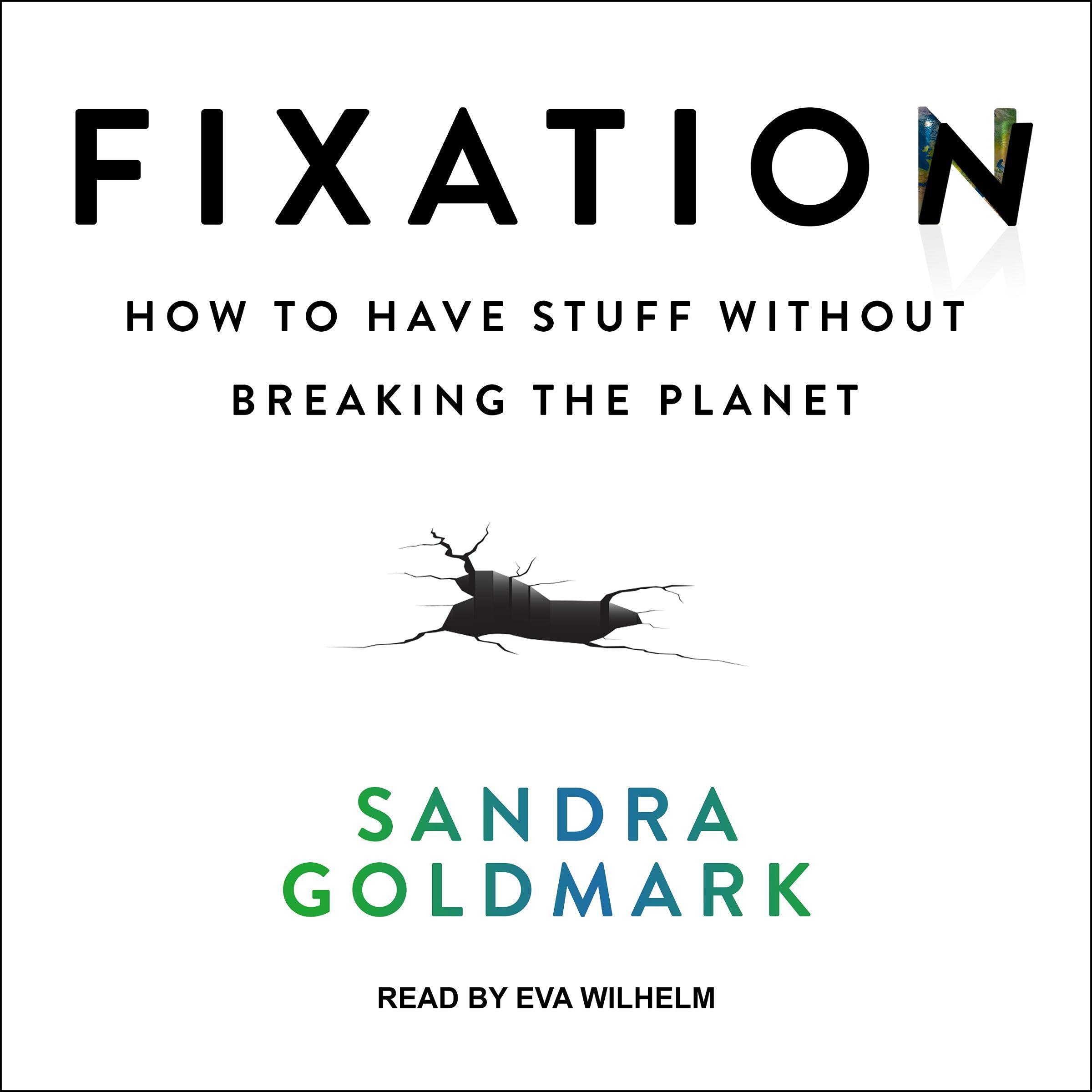 Cover art for Fixation