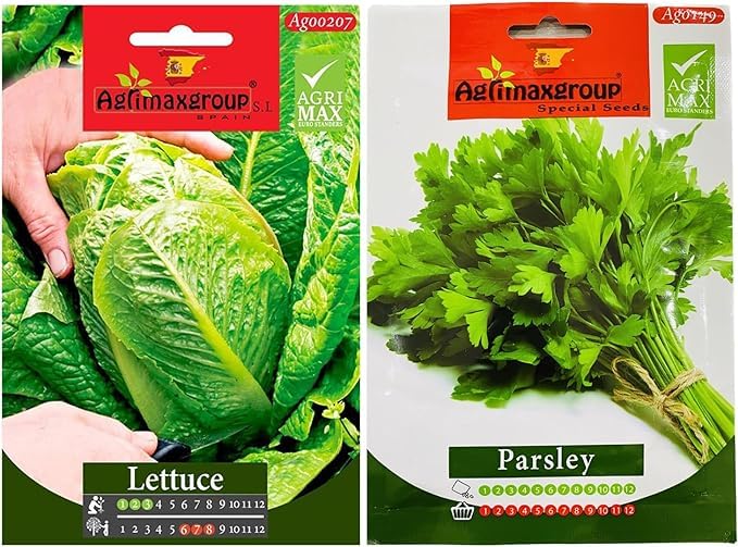 Lettuce Seeds + Parsely Seeds Premium Quality Seeds by Agrimaxgroup | Made in Spain By "UAE Garden Deals"