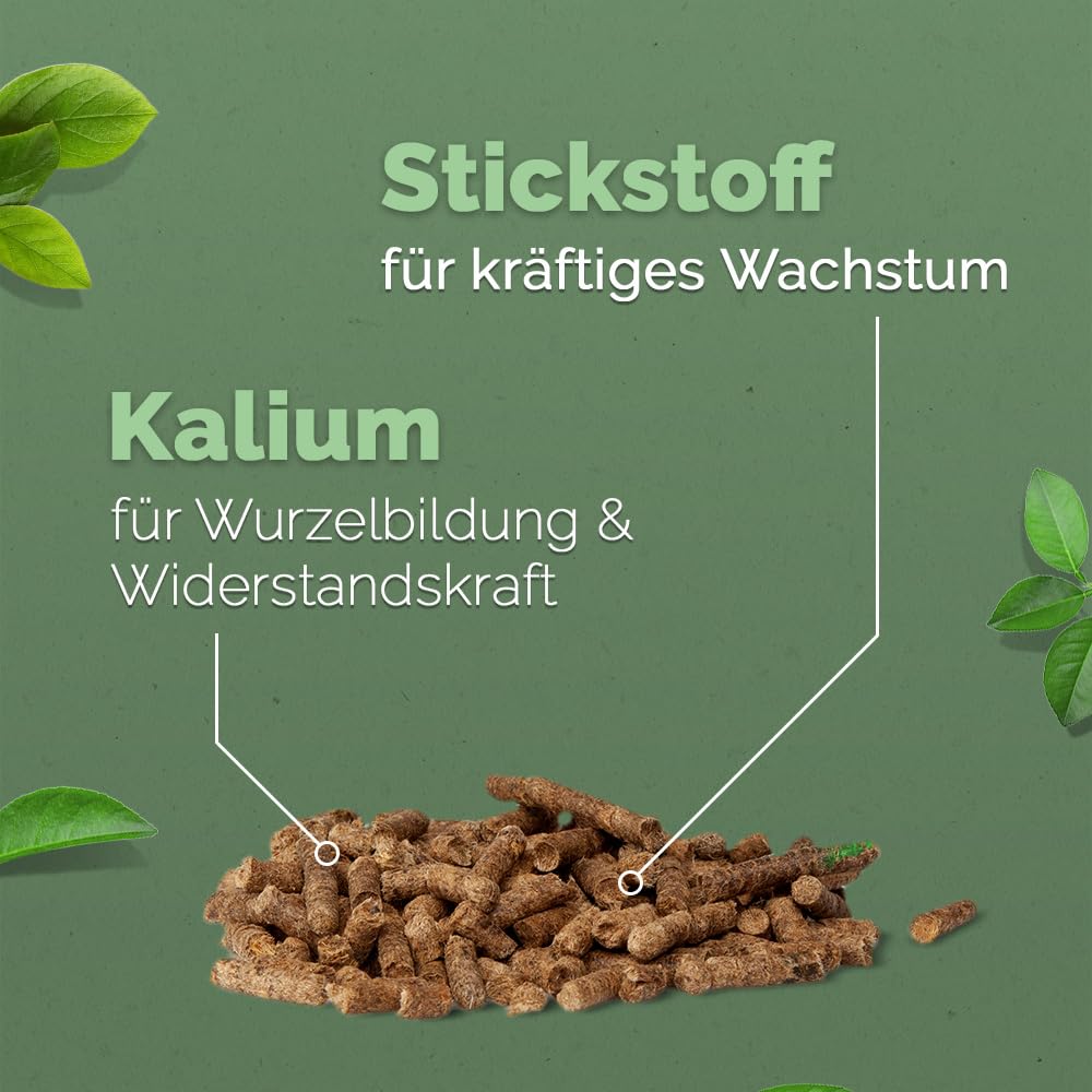 DIMIKRO Schafwollpellets - organischer Langzeitdünger - 2,5 kg | Natürlicher Dünger für Pflanzen, Gemüse, Obst- und Ziergehölze - fördert nachhaltige Böden im eigenen Garten