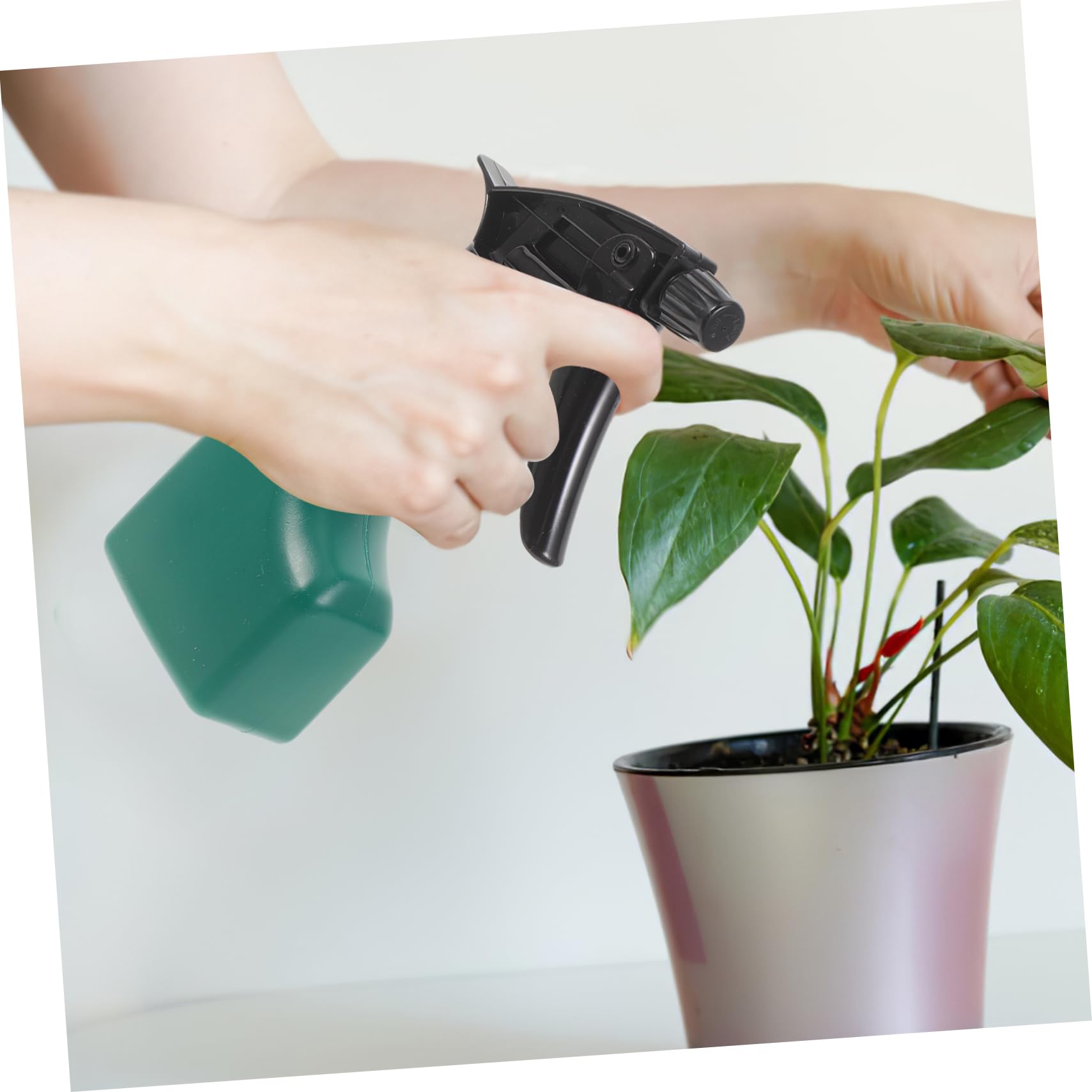 BESPORTBLE Outils De Jardinage Pelle Râteau Cisaille Pulvérisateur avec Étui De Rangement pour Jardinage