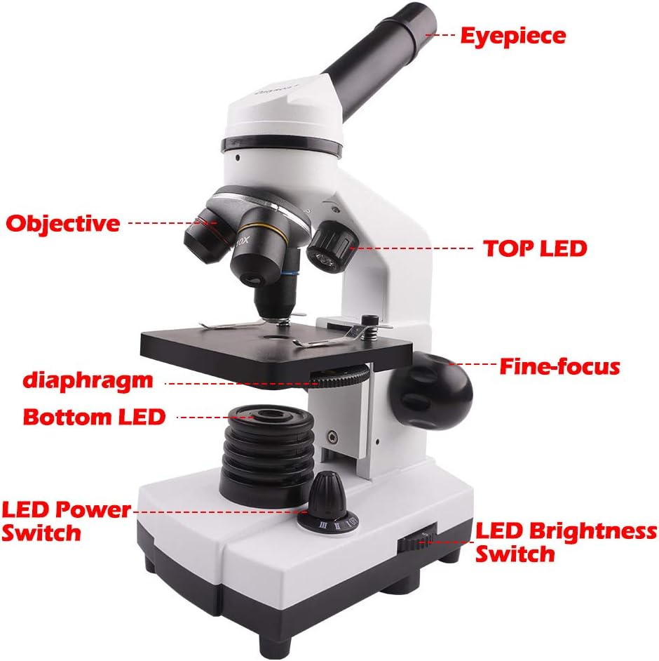 Weekly Top Sale Shikha Kid Microscope 80X-1600X Dual Cordless LED Illumination, Lab Compound Monocular Microscopes for Kids Beginners Student(with Prepared Slides & Blank Slides) Buy 1 get 1 Shikha Kid Microscope 80X-1600X Dual Cordless LED Illumination, Lab Compound Monocular Microscopes for Kids Beginners Student(with Prepared Slides & Blank Slides)