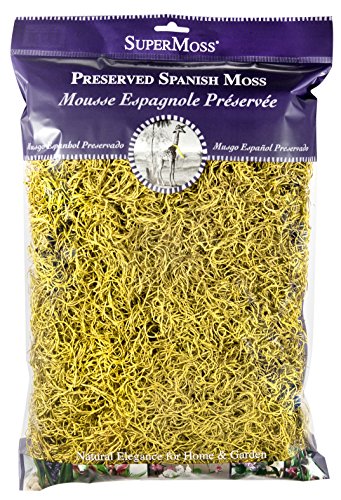 SuperMoss (26966) Spanish Moss Preserved, Pear, 8oz