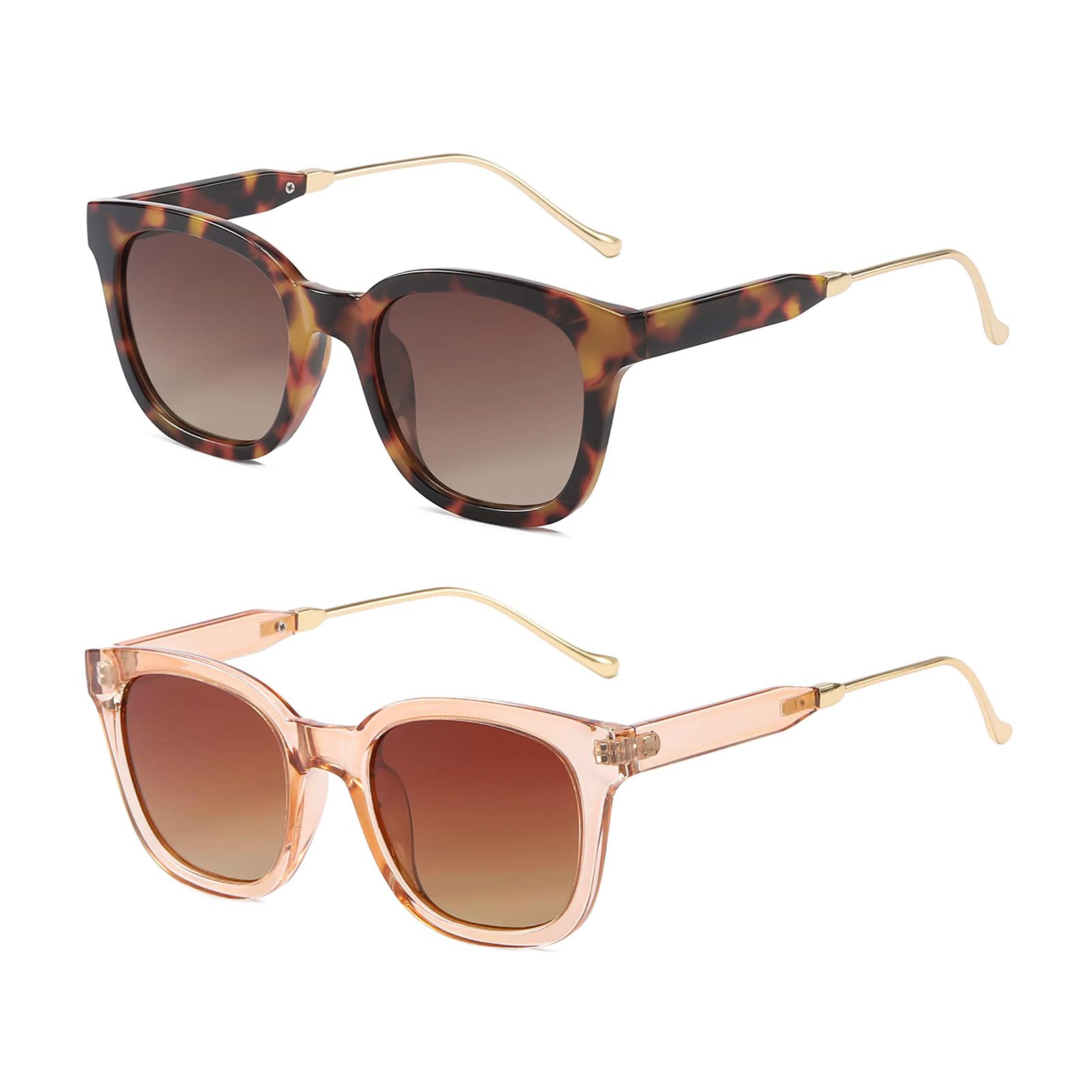 Dollger Retro Square Sunglasses for Women Classic Trendy Large Sunglasses Designer Ladies Shades UV400 Protection