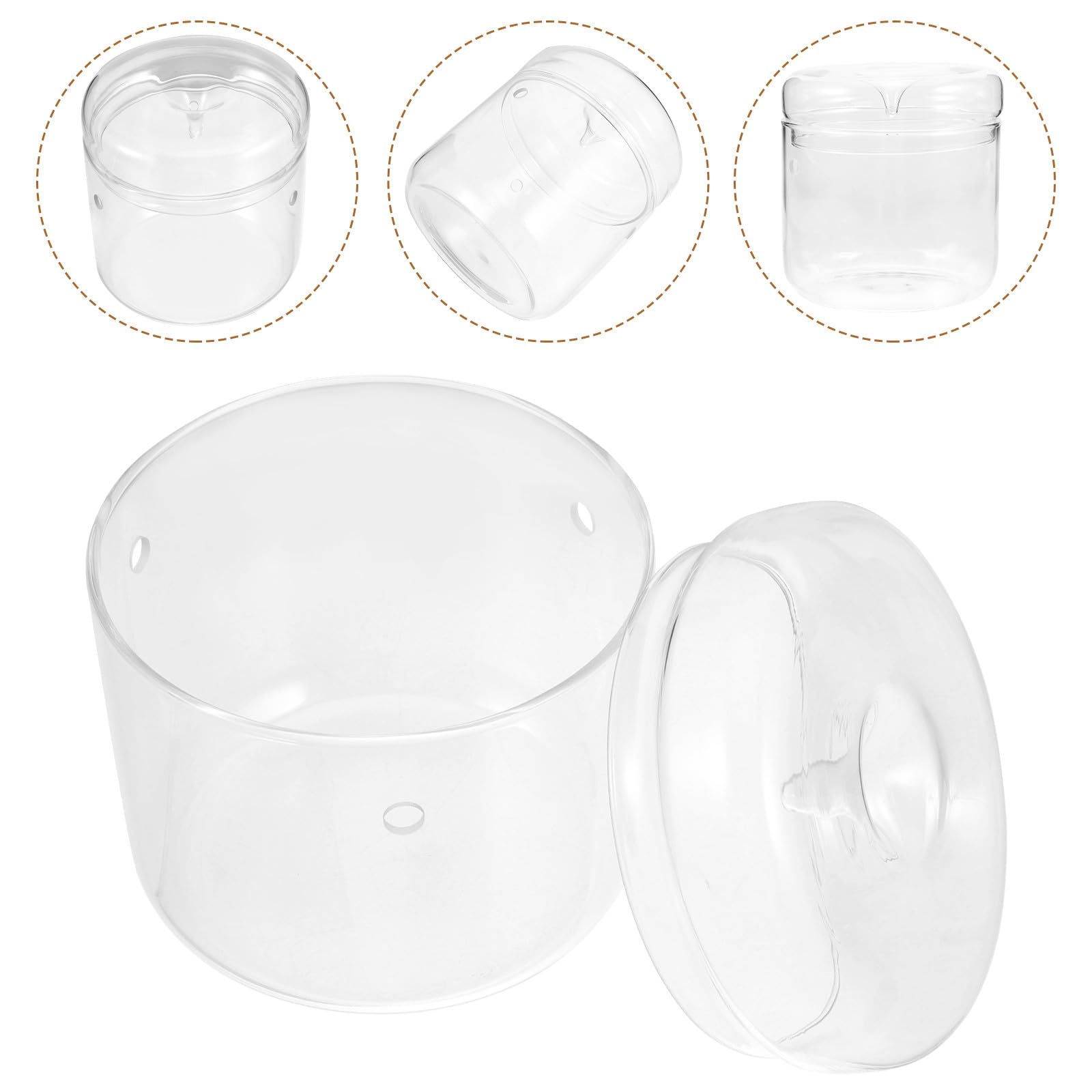 OSALADI Terrario in Vetro Trasparente 12x12 Cm per Piante, Contenitore Fai da Te Ecosistema Muschio, Bottiglia Micro Paesaggio Decorativa per Casa Ufficio Giardino
