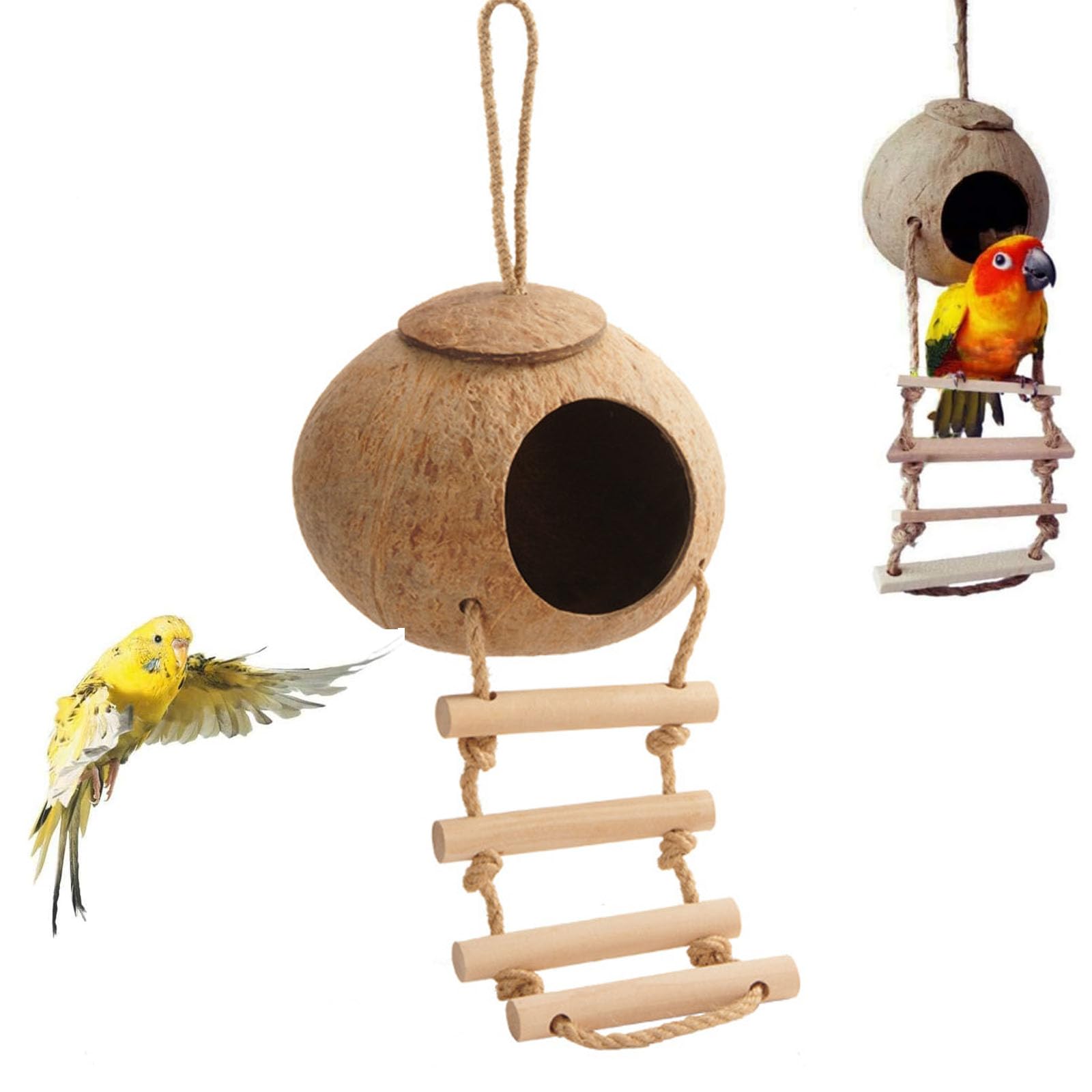 Nido di Cocco per Uccelli, Uccelli in Cocco Nido Decorativo, Nido di Noce di Cocco per Uccelli, per Uccelli in Stile Scala, Resistente Alle Intemperie per Piccoli Uccelli, Rettili, Amanti Del Giardino