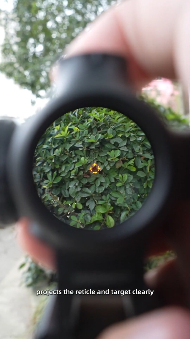 Amazon.com : Vector Optics Paragon 1x16 Mini Prism Sight 2 MOA