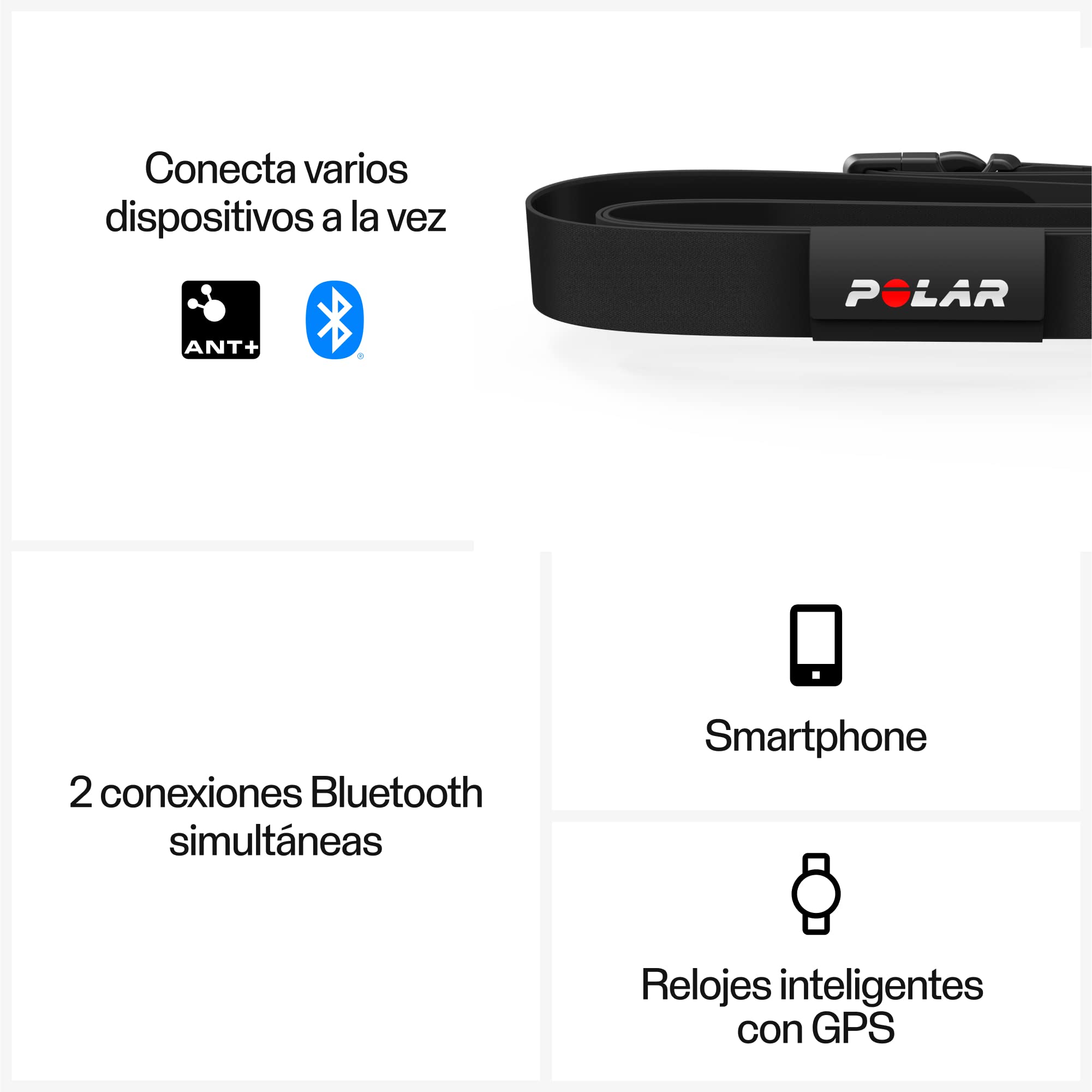 Polar H10 Equine - Sensor de Frecuencia Cardíaca para Caballos – Monitorización Avanzada para Equitación y Trote