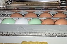 Review Image by FearNoT FearNoT