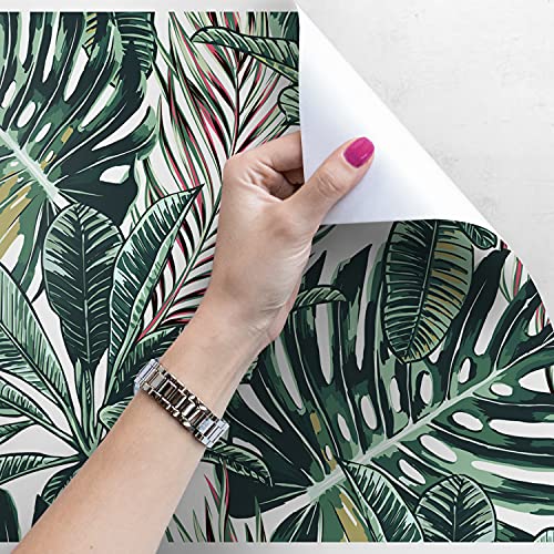 Muralo papiers peints pour masquer les imperfections du salon - 4