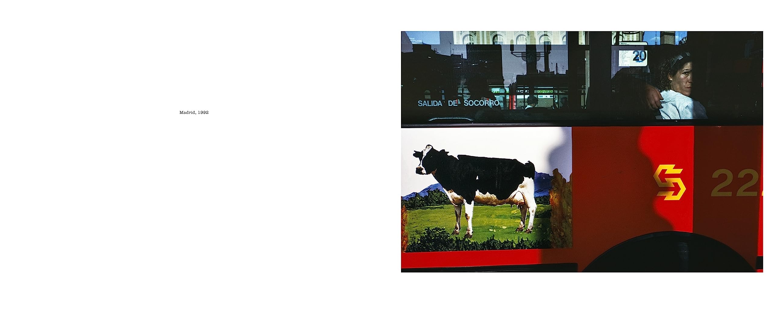 Alex Webb: Dislocations