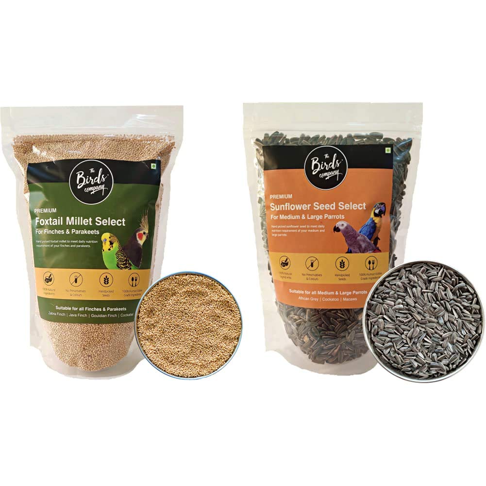 Buy The Birds Company Premium Foxtail Millet (Kangni) Select,Fortified
