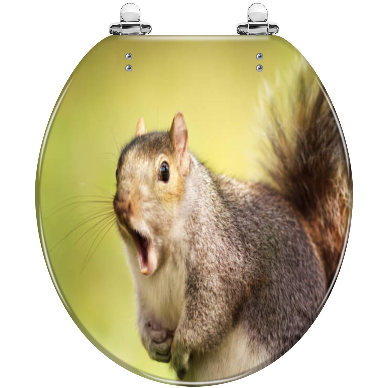 Round Toilet Seat Close up a grey squirrel yawning Resin Toilet Seat Slow Quiet Close with Quick-Release Hinges Toilet Seat with Cover Easy to Clean Install