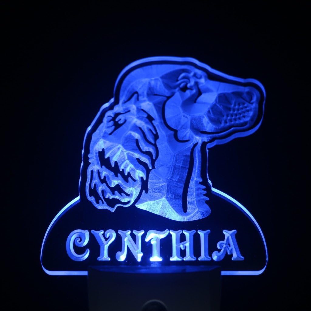 ADVPRO ws1072-tm Irish Setter Dog Personalized Night Light Name Day/Night Sensor LED Sign