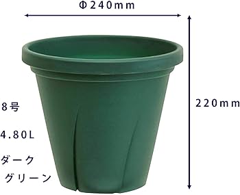 61i2HlKuviL._AC_UF350, 61i2HlKuviL._AC_UF350,