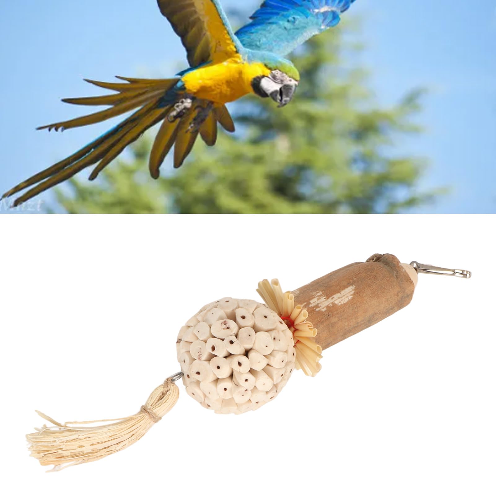 Amazon | ソラスティック鳥のおもちゃ インコ、オウム、オカメインコ用