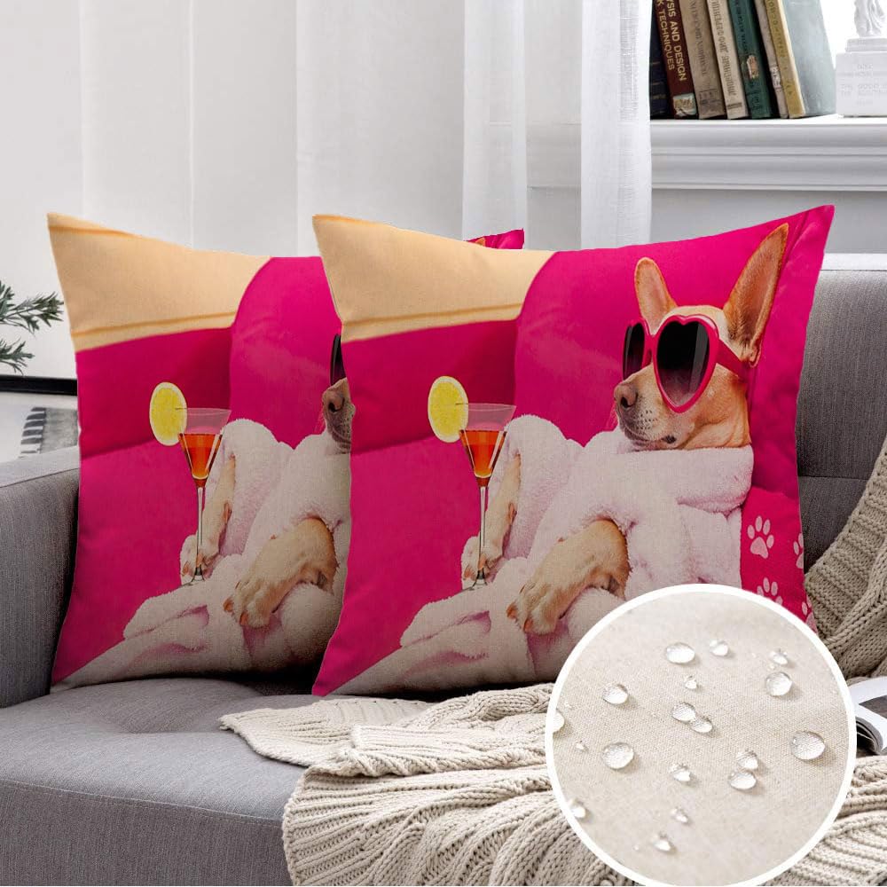 Waterproof Pillow Covers Chihuahua Dog Relaxing Lying Calm Spa Wellness Martini Animals Wildlife Included Sports Recreation Decorative Outdoor Linen Throw Pillow Case for Couch Car 18x18, Set of 2