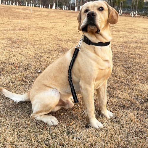 SEPXUFORE Short Dog Leash Extender, 18 in Bungee Shock Absorbing, Nylon Extension Multifunctional Dog Leash for Medium Large Dogs Walking Training Running (Black) - Thumbnail 5