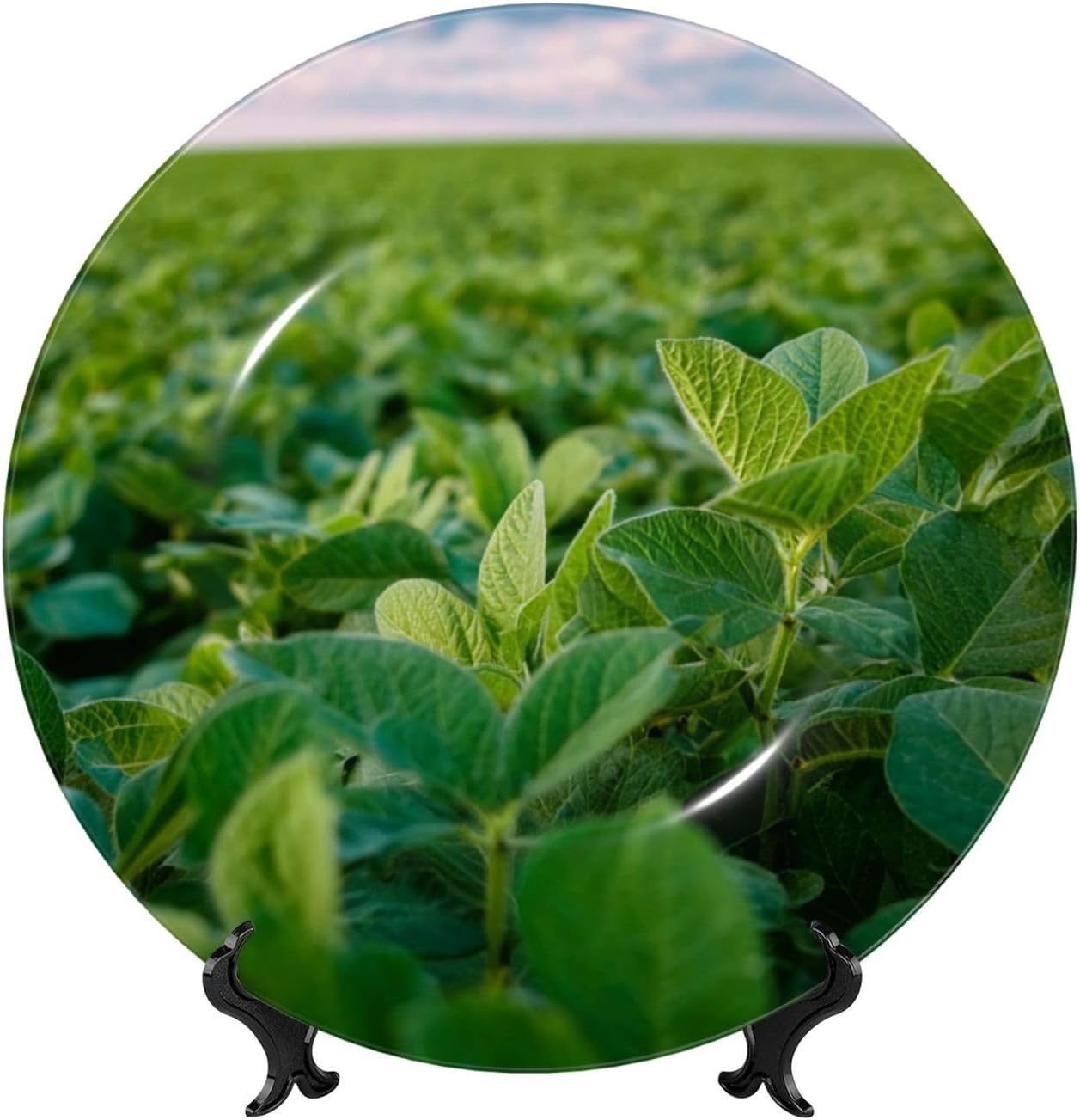 Decorative Plate 10in Bone China Dessert Plates with Display Stand Ceramic Ornament Ceramic Soybean Field Decorative Plates Art Crafts Porcelain Plate for Home Club Living Room