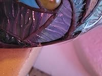 Review Image by Alexa Alexa