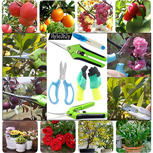 HyleJhJy 5 pack Garden Pruning Shears Florist Scissors Floral Snips Bonsai Pruning Scissors Hand Pruner Set with Gardening Gloves,Stainless Steel Straight Tip and Curved Blades ,Green+Green