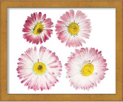 Miniatura 6 de Marco dorado de 12 x 16 pulgadas, marco de caja de sombras, tamaño interior de 12 x 16 x 1.5 pulgadas de profundidad, marco dorado está hecho para