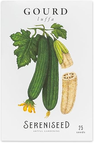 Sereniseed Semillas de calabaza Luffa (25 semillas)