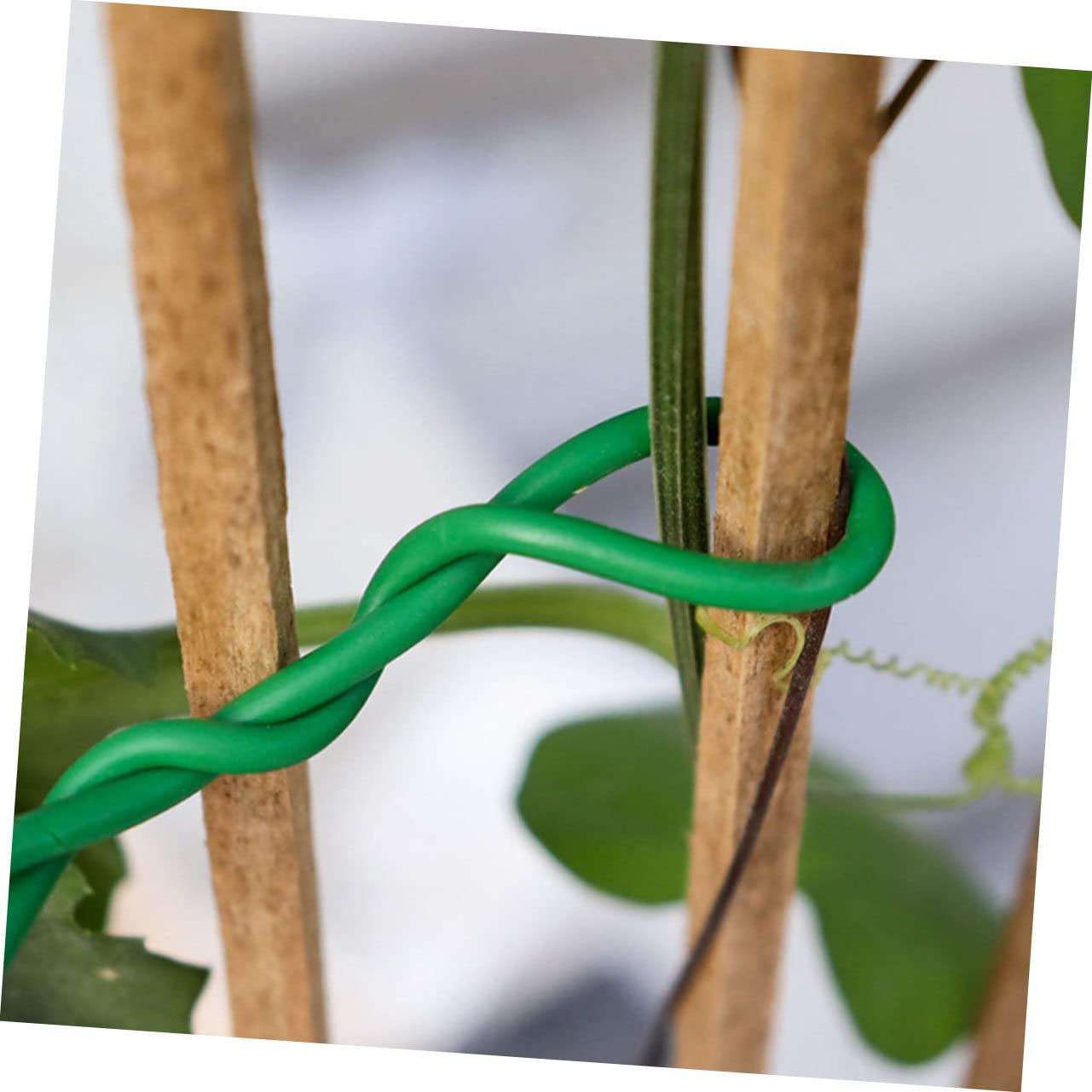 Fascette Per Piante Da Giardino - Legatura A Spina Di Pesce - Supporto Per Alberi E Arbusti - 4 Pezzi 40 Cm - Foto 8