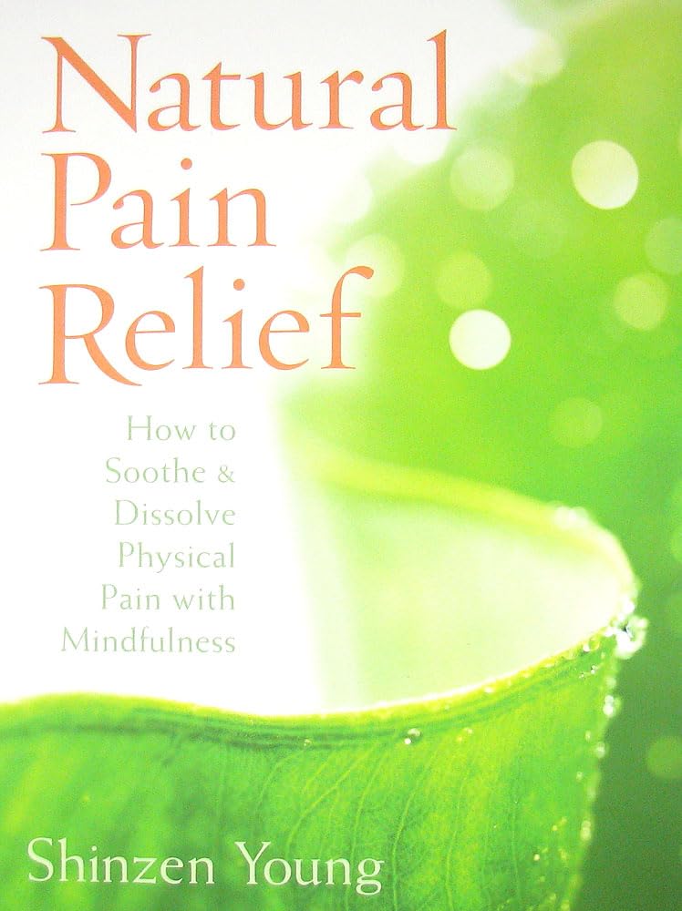 Natural Pain Relief: How to Soothe and Dissolve Physical Pain with Mindfulness Paperback – 1 April 2011
