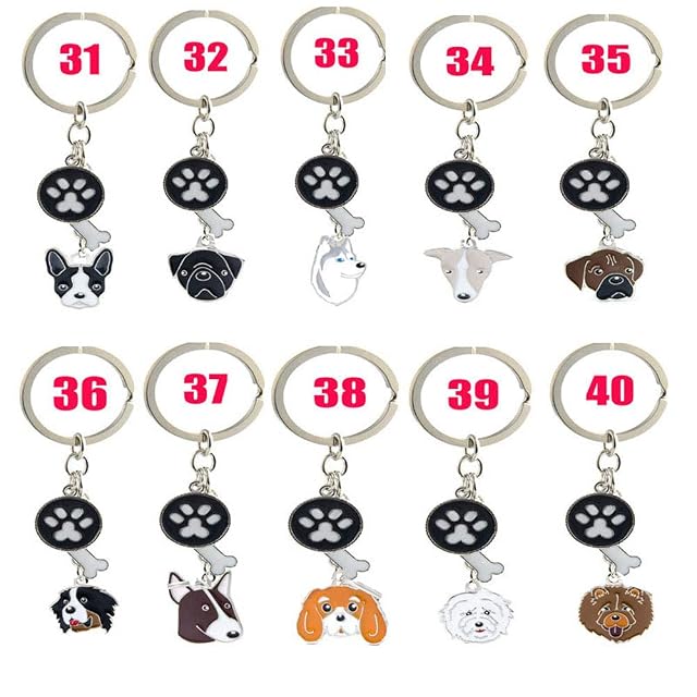 Foto 7 de 8 de Llavero de identificación de perro, etiquetas de identificación de mascotas, llavero de metal para perros