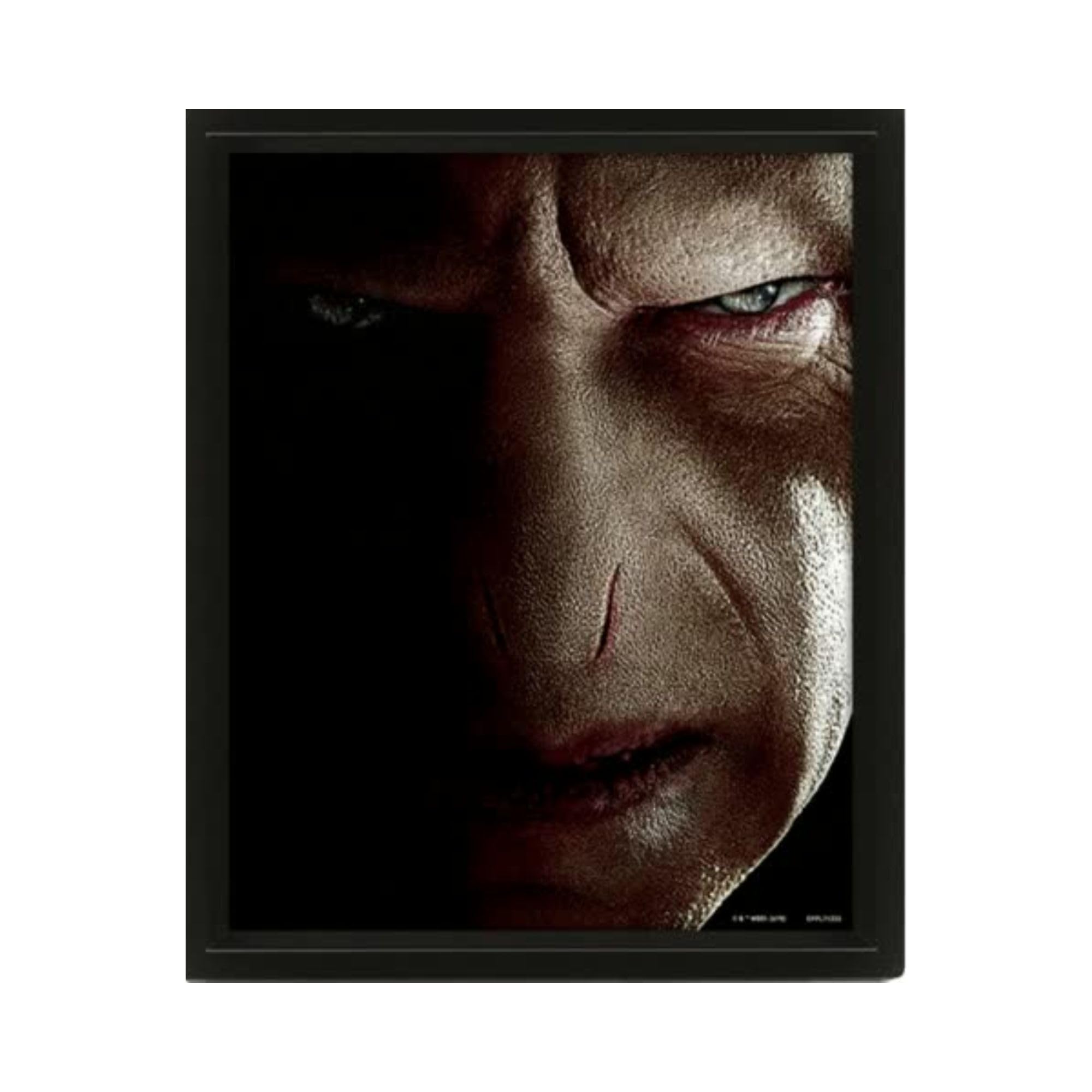 Pyramid Harry/Voldemort 3D Poster
