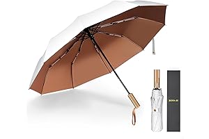 Aesthetic Umbrella: The Epitome of Style and Protection