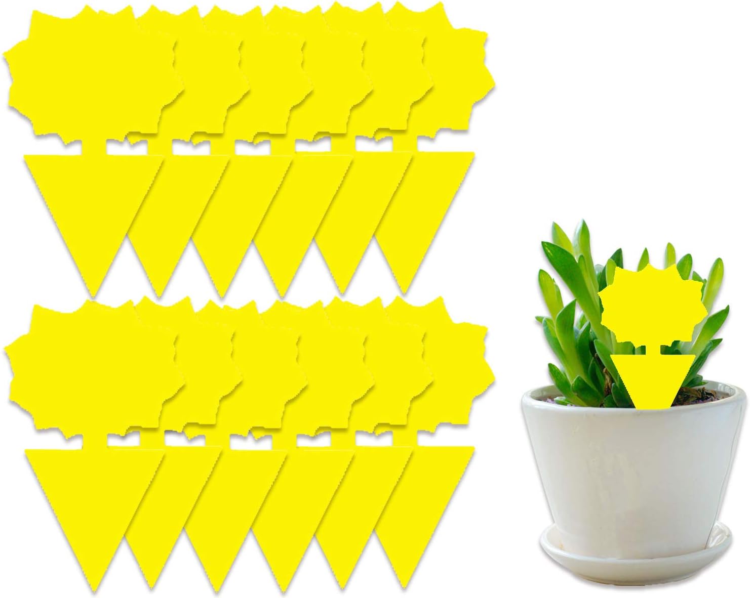 COSYWORLD 12 Pack Yellow Sticky Bugs Traps for Indoor/Outdoor Use, Gnat Trap for Flying Plant Insect Such as Fungus Gnats, Whiteflies, Aphids, Fruit Fly, Leafminers- Disposable Glue Trappers
