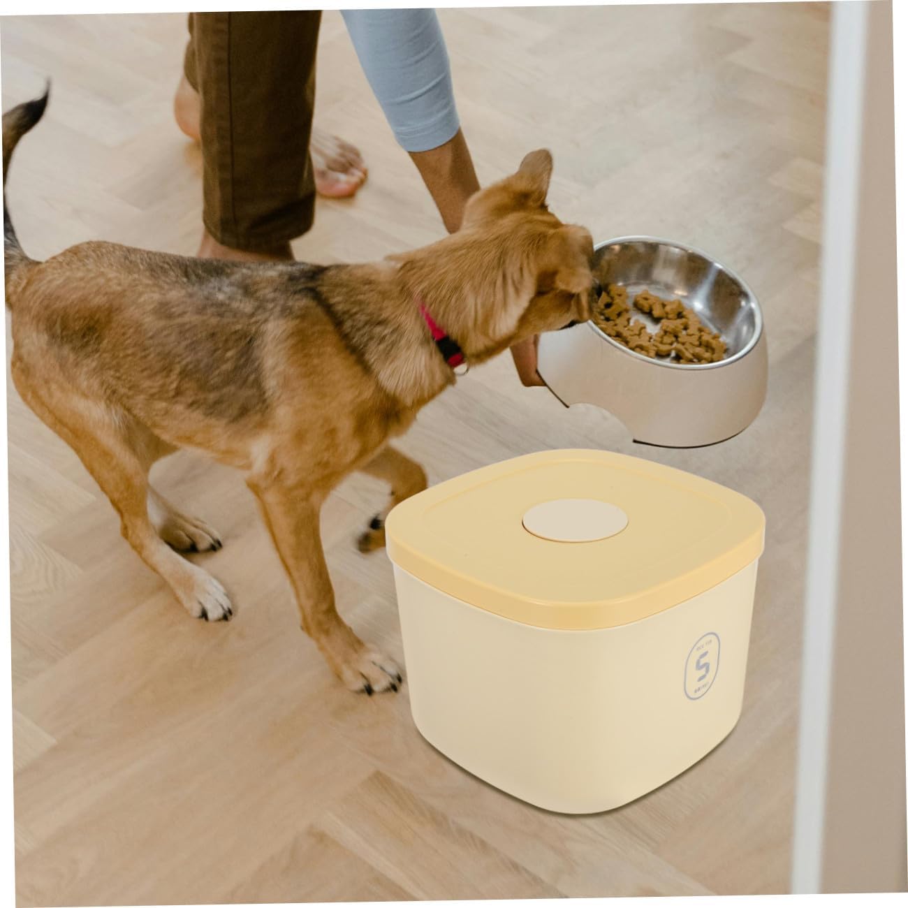 Pet Food Storage Bin Small Airtight Dog and Cat Food Container Vacuum-sealed Plastic Bucket with Lid for Household Dog Snack Storage and Cat Treat Organizer
