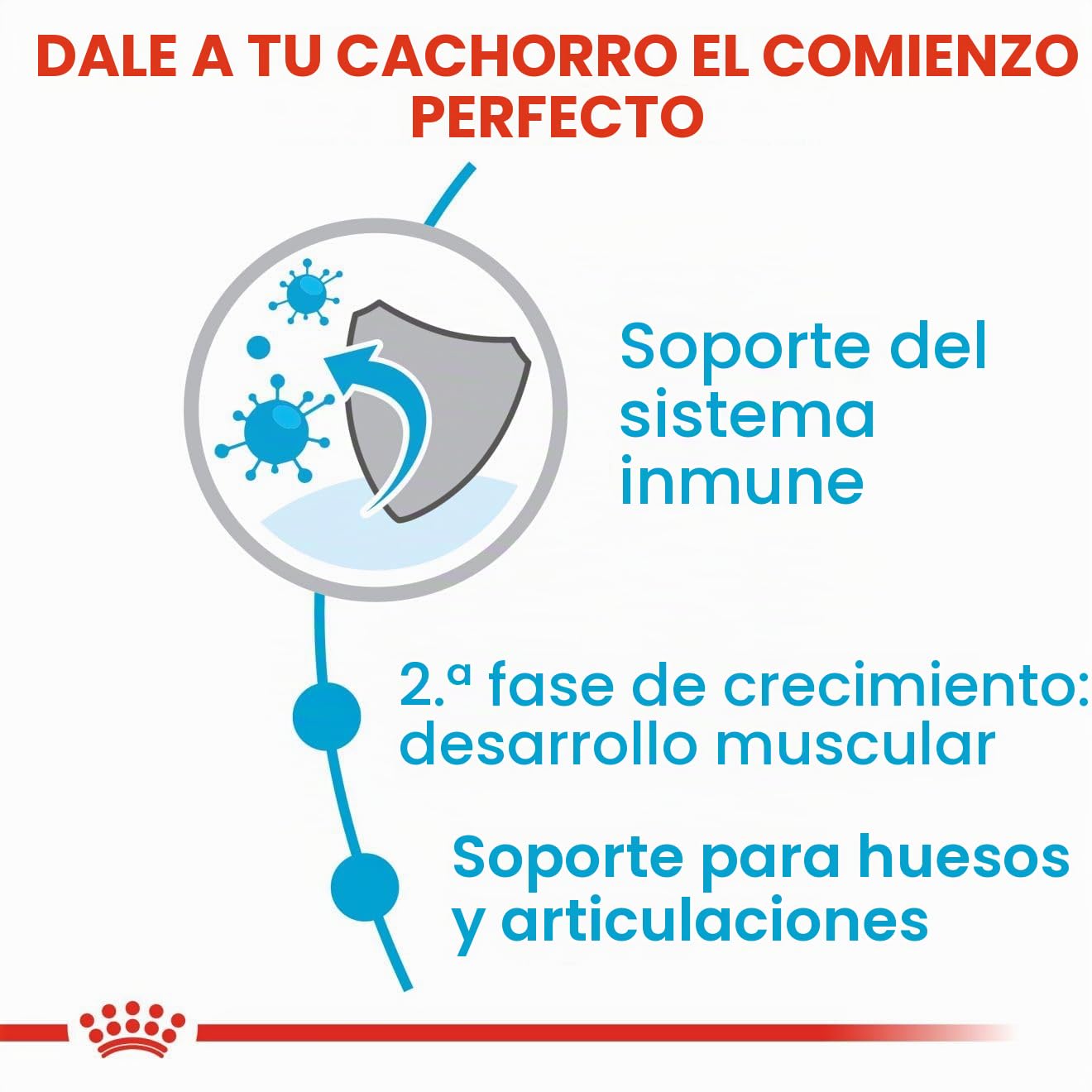 Royal Canin 31 Comida Gigante para Perros, 3,5 kg