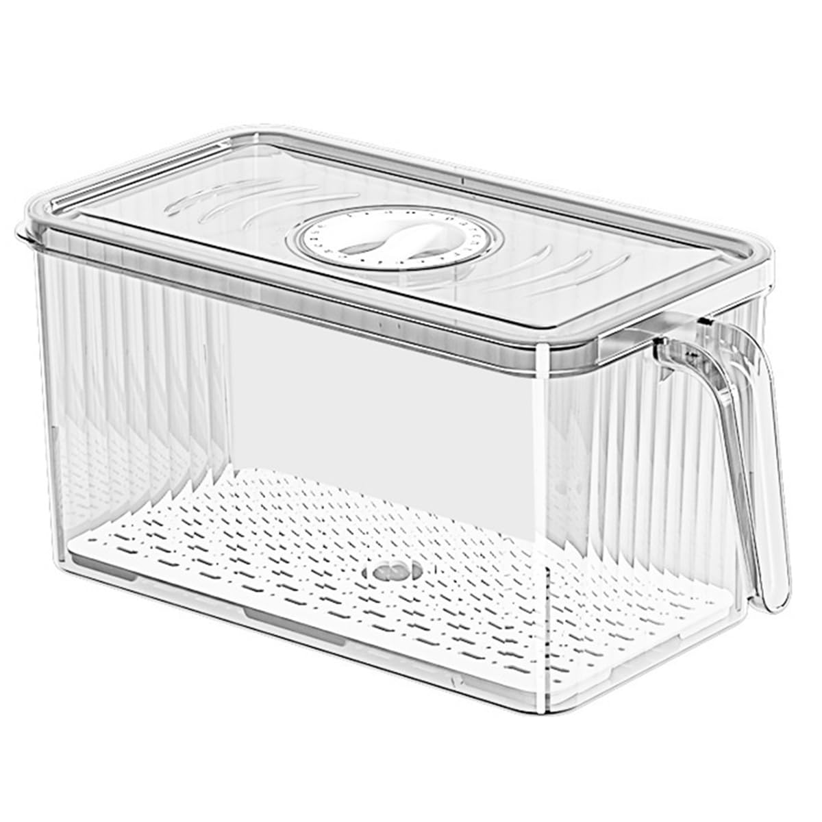CTRLZS Refrigerator Storage Box Handle with Lid Food Grade Kitchen Organizer for Freezer Safe Containers for Vegetables Eggs