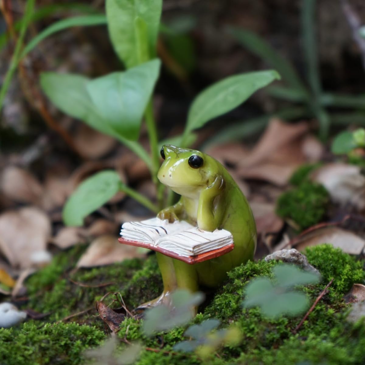 picocosmxiruo Miniature Small Frog and Rabbit Figurines Fairy Garden Supplies Terrarium Accessories DIY Miniature Garden
