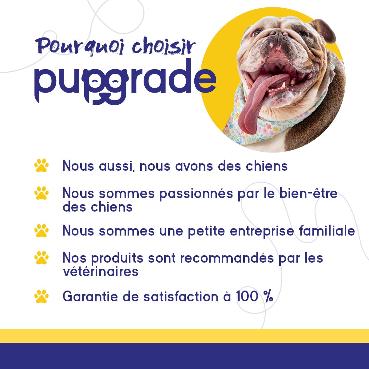 PupGrade Démangeaisons et Allergies pour Chiens – Santé Peau & Soutien Immunitaire avec Huile de Saumon Atlantique – Aide Anti-Démangeaisons – 30 Friandises Molles