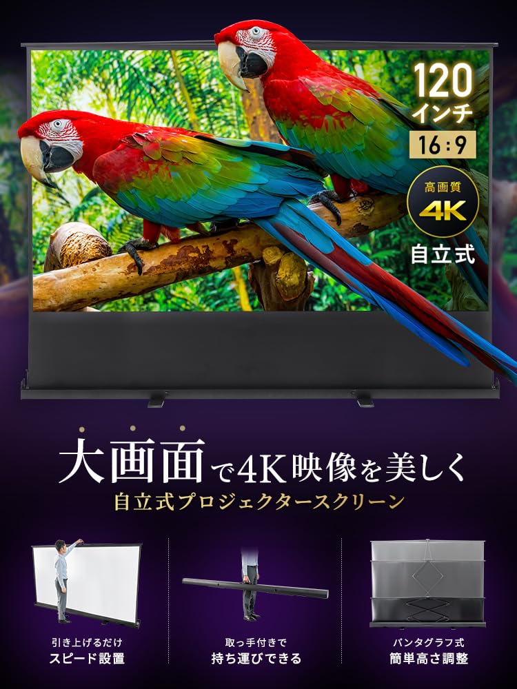 Amazon | イーサプライ プロジェクタースクリーン 120インチ 16:9 フル