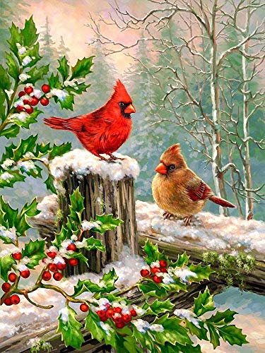 Bird- 300 Piece Jigsaw Puzzle For Adults, Three-Layer Paper Material,Every Piece Fits Together Perfectly Wooden Puzzle(Each Piece Small Size:2X2 Cm) #TOP10