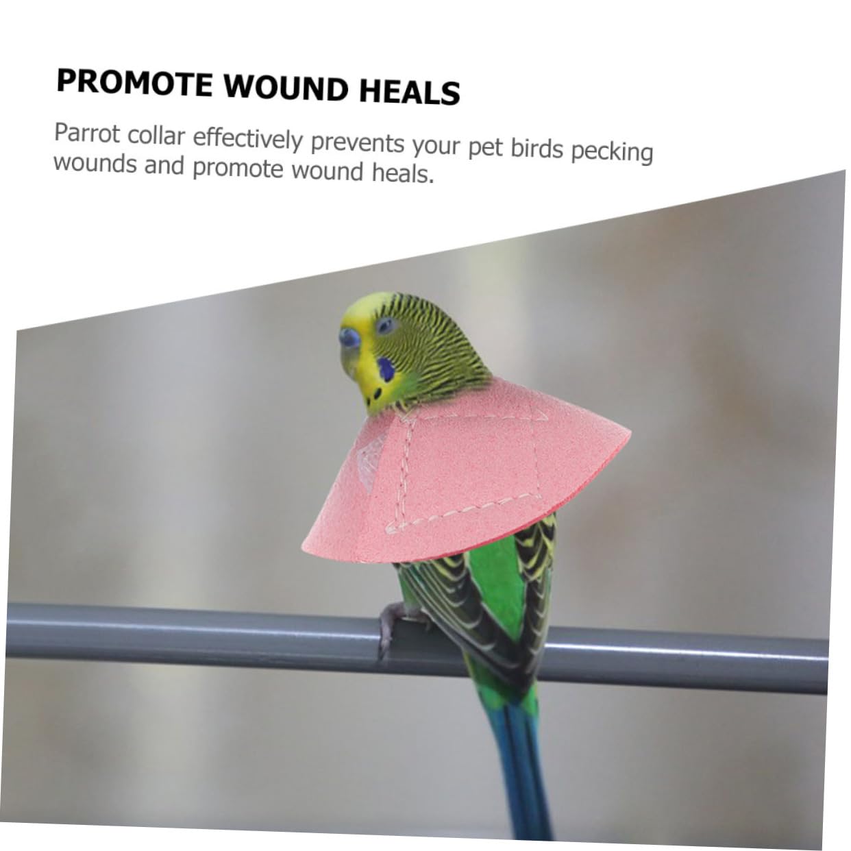 BESPORTBLE -Biting Bird Collar Parrot Accessories Biting Bird Collar Neck Cone Parrot Pet Accessory