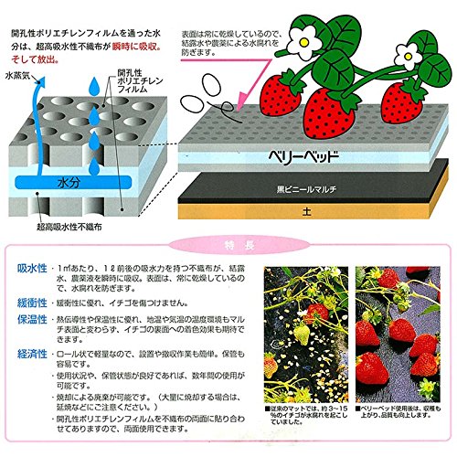 Amazon.co.jp: 北海道・沖縄・離島配送不可 ベリーベッド NW70N-25